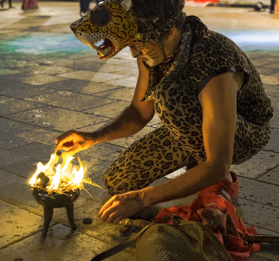 Ibrahim the Fire Jaguar, All Species Project, journal of wild culture ©2020