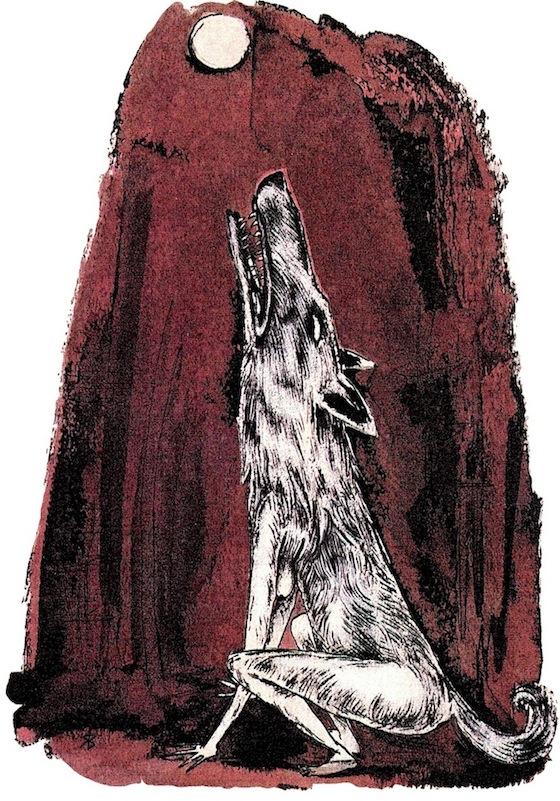 she-wolf-roxanna-bikadoroff, journal of wild culture ©2021