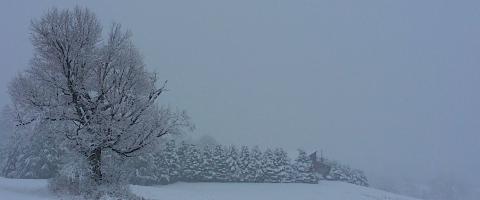 Wintry field, Wild Culture, by Debra Slack ©2014 Wintry field, Wild Culture, by Debra Slack ©2014