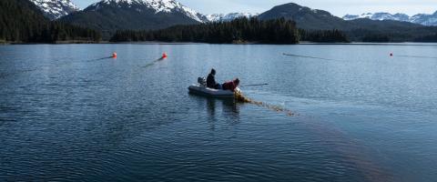  Kelp farming Alaska Nature Conservancy, journal of wild culture