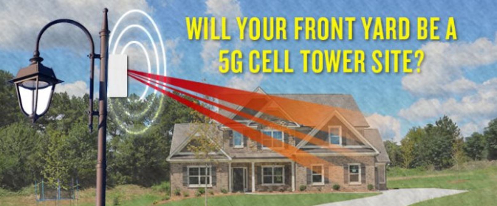 Birds falling from the sky: Knowing how 5G could affect us | The Journal of Wild Culture Birds falling from the sky: Knowing how 5G could affect us | The Journal of Wild Culture