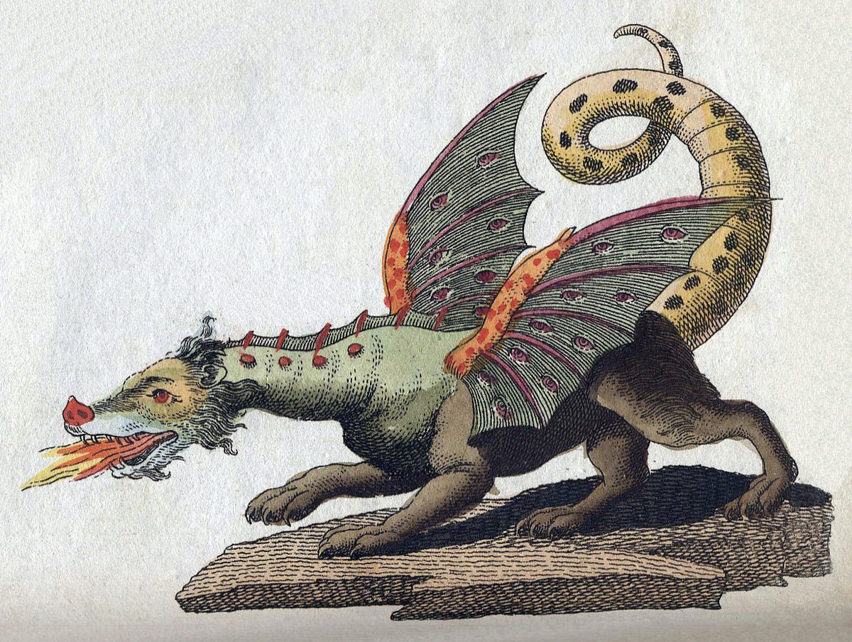 'Still Facing the Dragon'_illus. by Mark Gardiner_journal of wild culture.jpg
