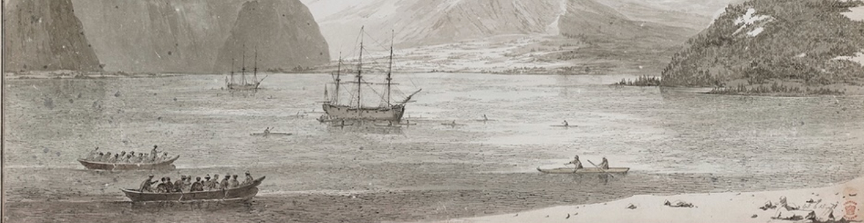 Captain Cook's (Mis)adventures