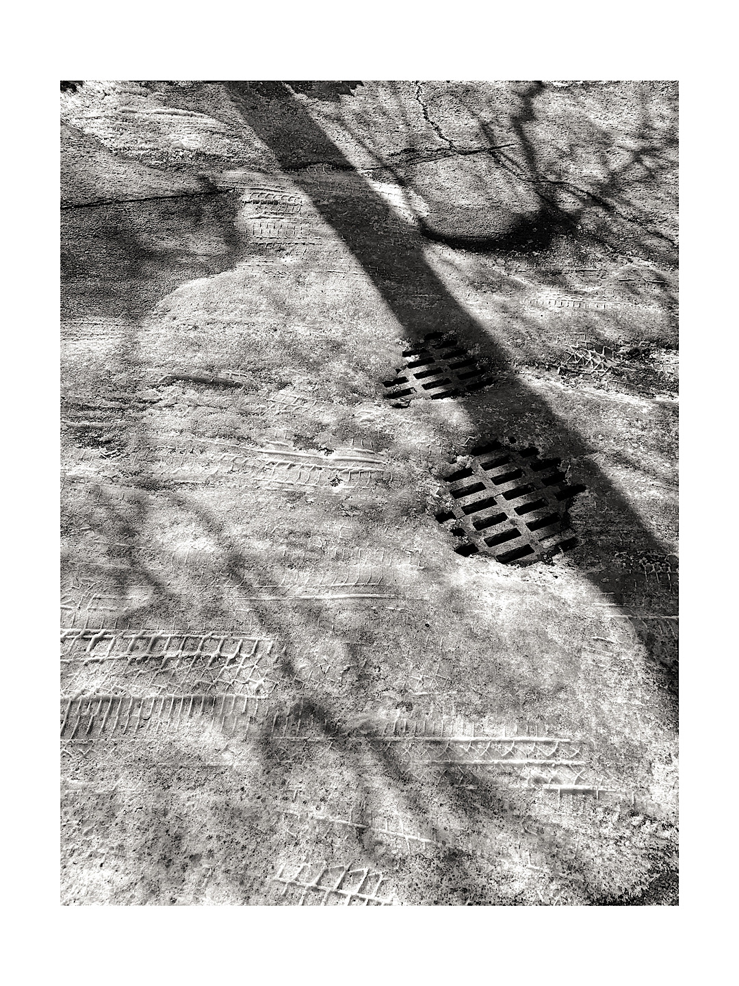 Terry Bell photographs, journal of wild culture, ©2020