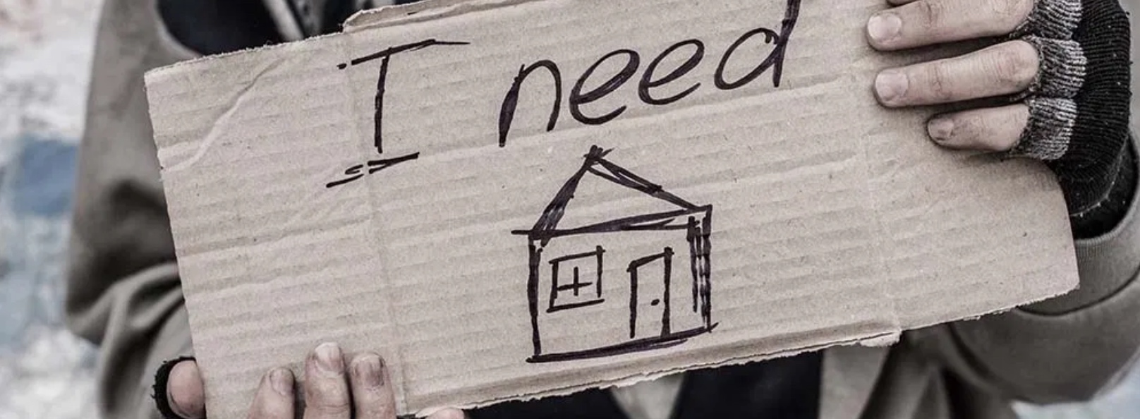 End homelessness, journal of wild culture, ©2020