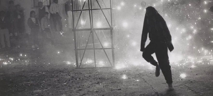 Cartels in Mexico-journal of wild culture