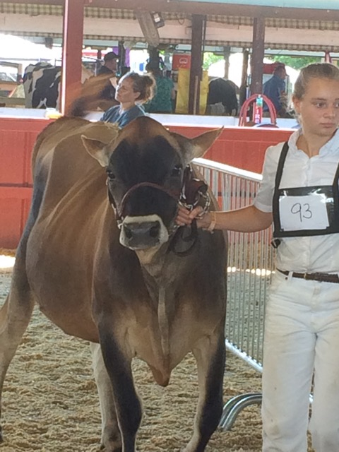 Girl and cow at auction_wild culture