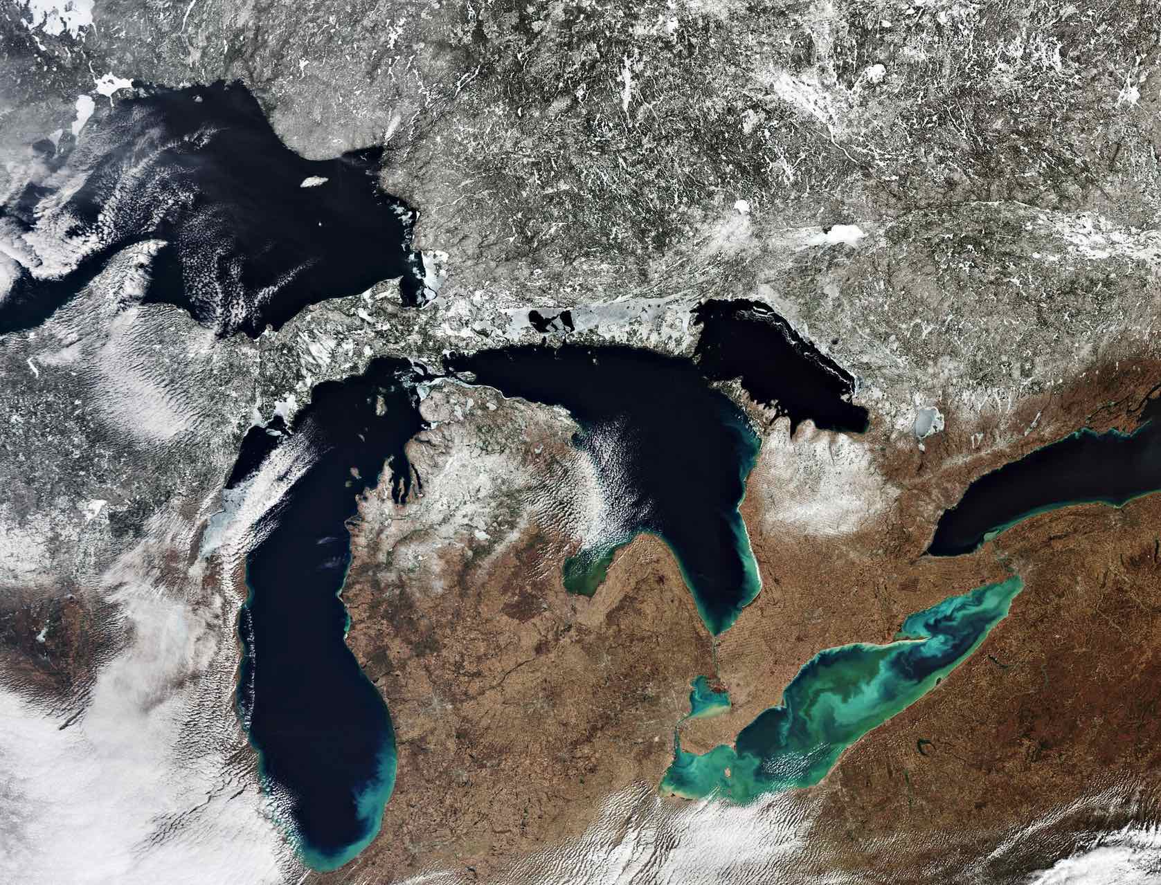 Great Lakes ESA image, journal of wildculture.com 2022.jpg