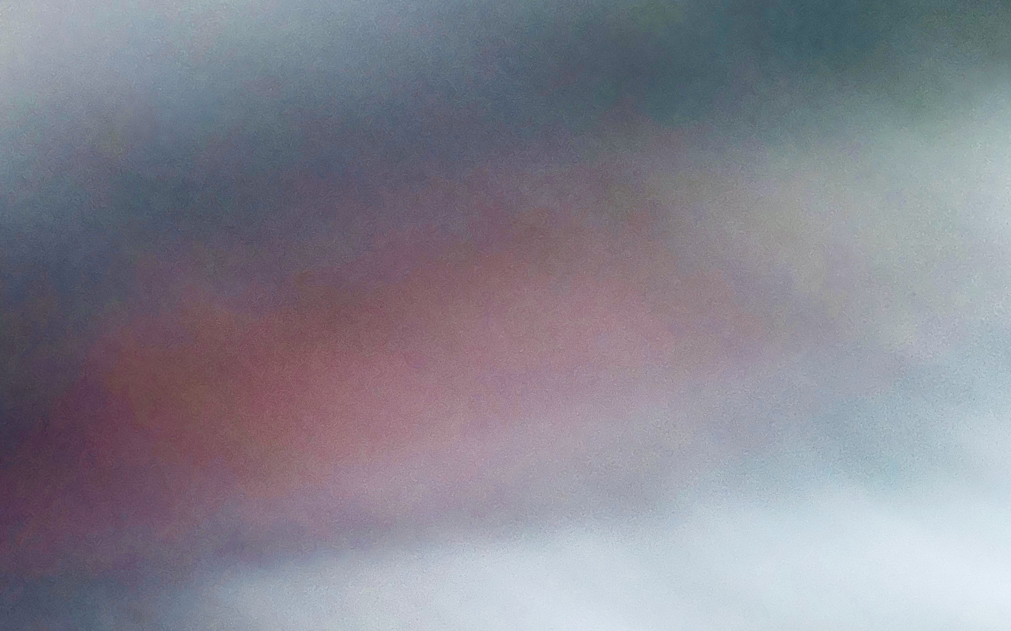 Whiitney Smith ©2022 'Sailor Dream 1', journal of wildculture.com 