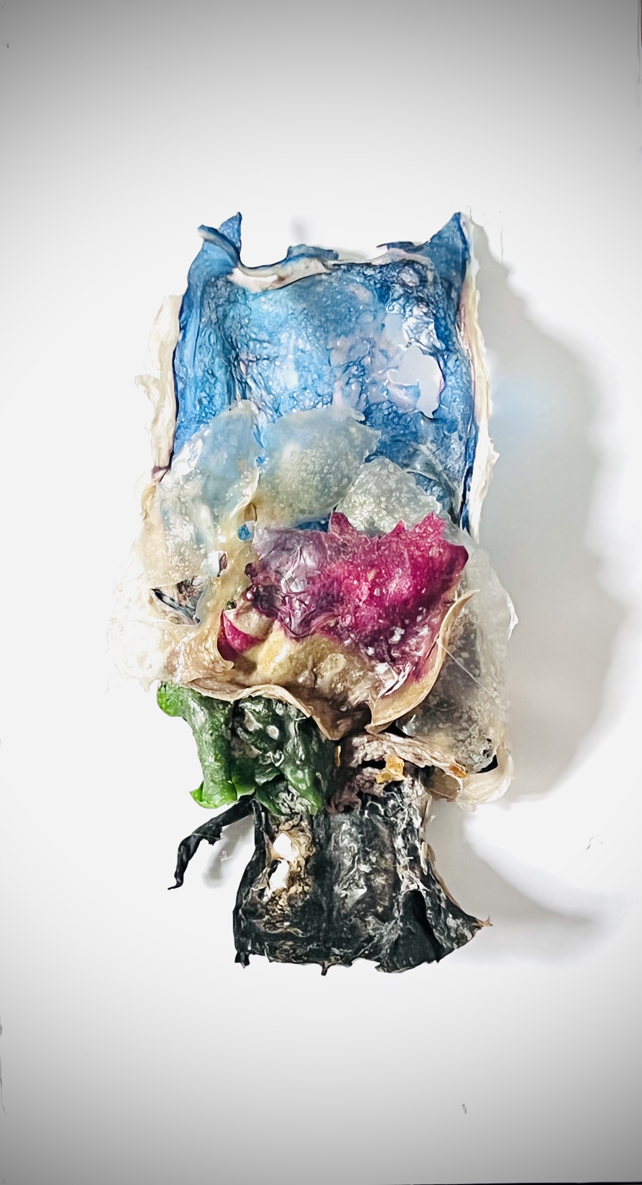 V.Kanic_journal of wild culture Algae_sculptures