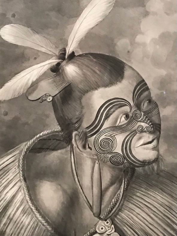 Drawings from Cook's voyages_journal of wild culture ©2026