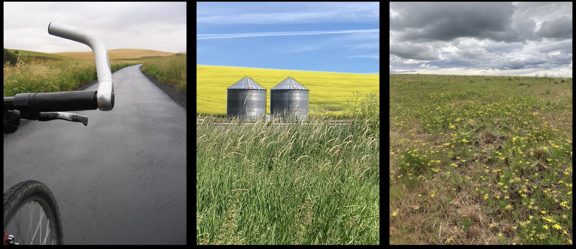 Palouse landscape_journal of wild culture ©2024