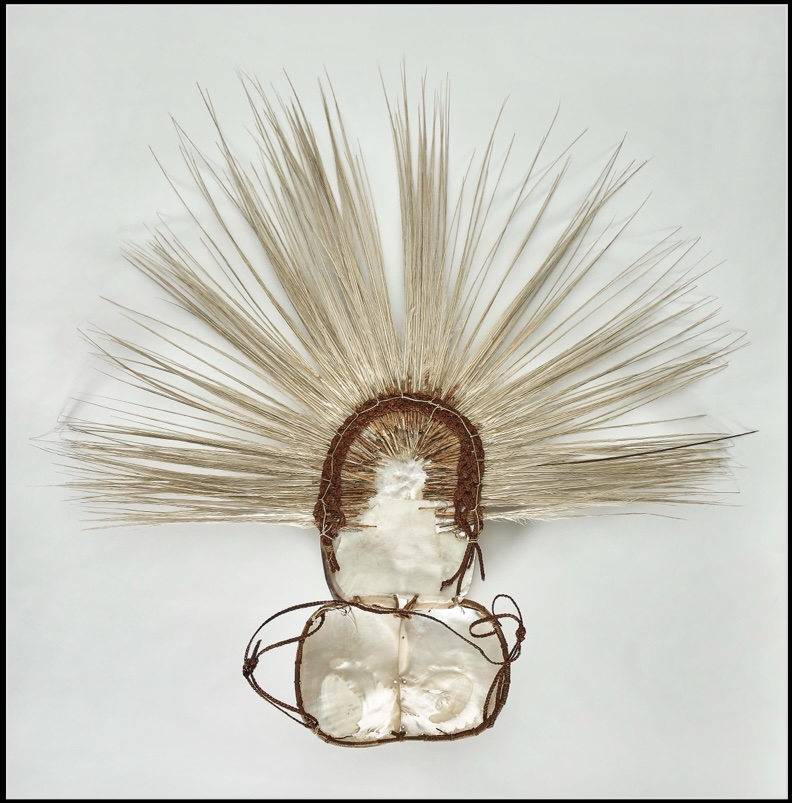 Artefacts from Capt Cook's voyages_wild culture