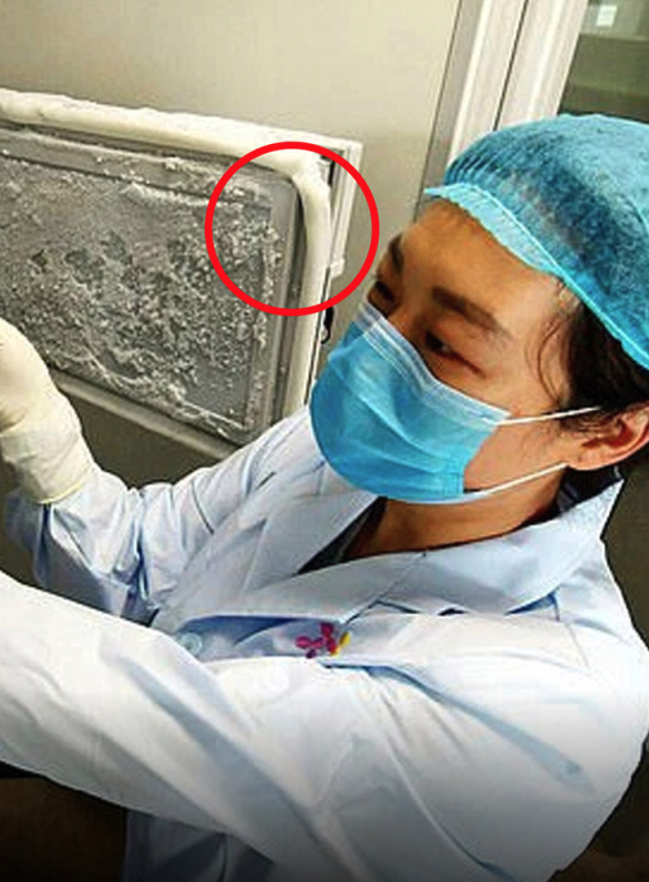 Wuhan virus lab broken refrigerator seal, jouranal of wild culture, ©2020