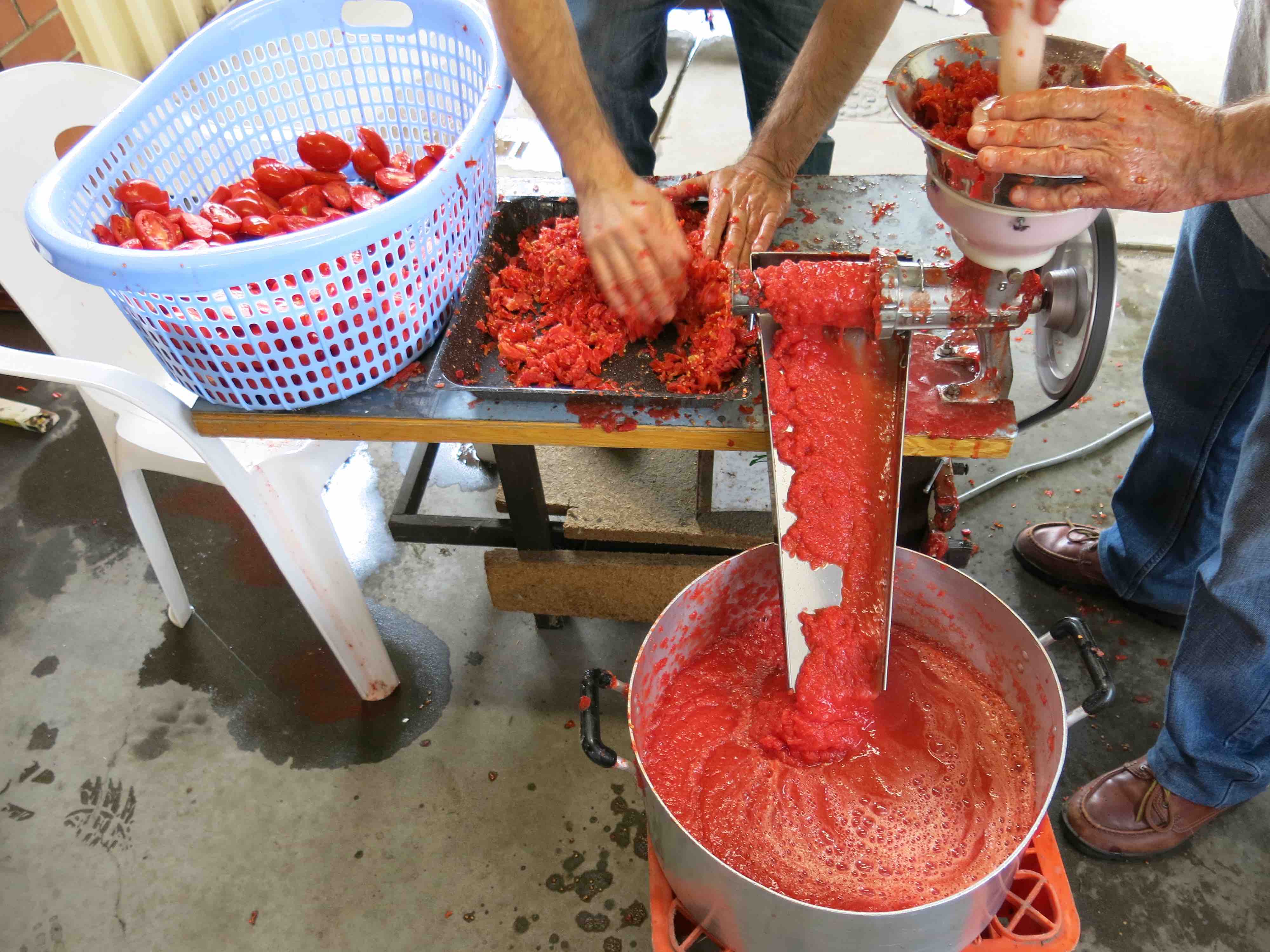 making tomato sauce, journal of wild culture ©2022