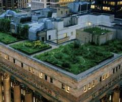 Roof gardens, Chicago