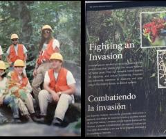  Fighting an Invasion_journal of wild culture