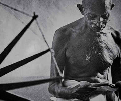 Gandhi, Wild Culture, ©2015