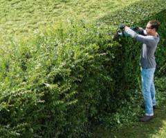 How to Lay a Hedge, journal of wild culture, ©2022