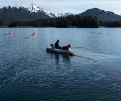  Kelp farming Alaska Nature Conservancy, journal of wild culture