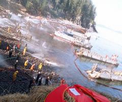 Exxon Valdez cleanup