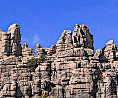 Mountains, wild culture ©2020