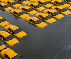 Taxis underwater, Journal of Wild Culture, ©2016