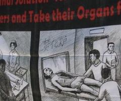 Chinese Organ harvesting, Falon Gong