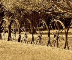 wagonwheel_fence, Journal of Wild Culture