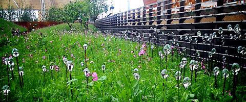 Wolfgang Buttress's meadow, Wild Culture, ©2015