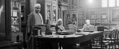 Librarians, Cairo, Wild Culture, ©2014