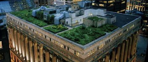 Roof gardens, Chicago