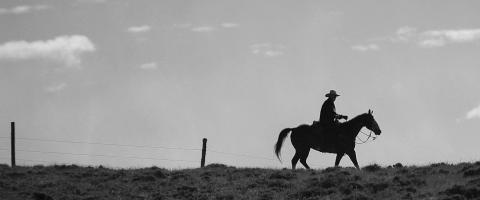 Cowboy on horseback in the open range
