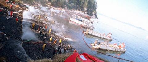 Exxon Valdez cleanup