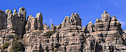 Mountains, wild culture ©2020