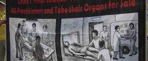 Chinese Organ harvesting, Falon Gong